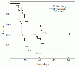 Figure 1. Survival vs body parts eaten