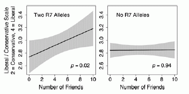 Fig 1: Political characterization vs number of friends, for 2 or 0 copies of the allele being tested.