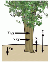 Tree, Figure 1