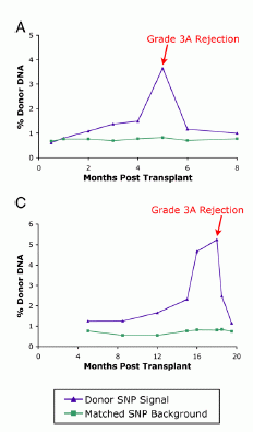 Figure 4, A & C, 75%.