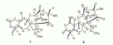 Ketone structures